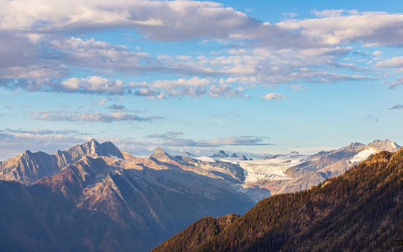 Purcell Mountains Producer